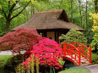 Japán kert - a stílus létrehozásának alapelvei és szabályai