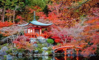 Japán kert - a stílus létrehozásának alapelvei és szabályai