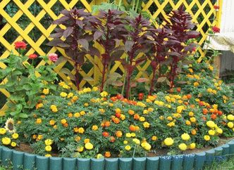 Virágágyak határai - fotó ötletek, hogyan készítsünk dekoratív kerítést a virágok számára