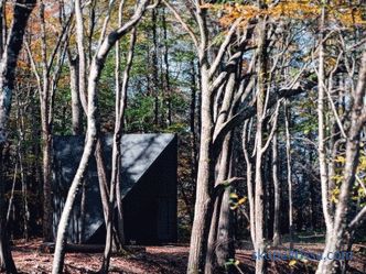 Kristály alakú miniatűr ház Lansville-i erdőben