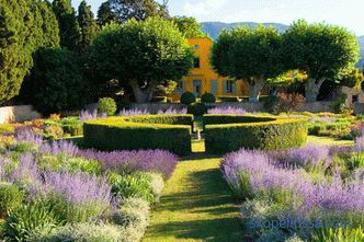 Provence-i kert - a formáció alapszabályai