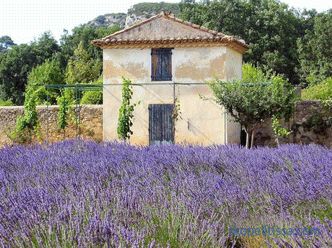 Provence-i kert - a formáció alapszabályai