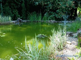 Hogyan készítsünk egy tót az országban - egy mesterséges díszkert a kertben és a helyszínen, gyönyörű tó kialakítása, fotó