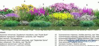 Virágágyás a kerítés mentén: a tájtervezés szabályai