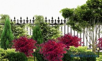 Virágágyás a kerítés mentén: a tájtervezés szabályai
